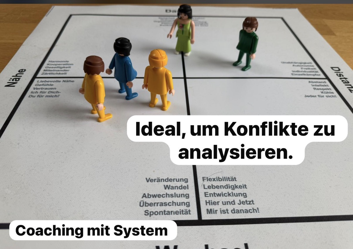 Screenshot Riemann-Thomann Modell
